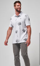 Load image into Gallery viewer, Travis Mathew MESIC POLO